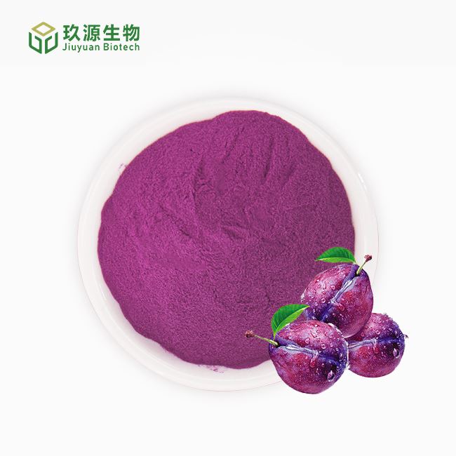 Black Plum Powder manufacturers